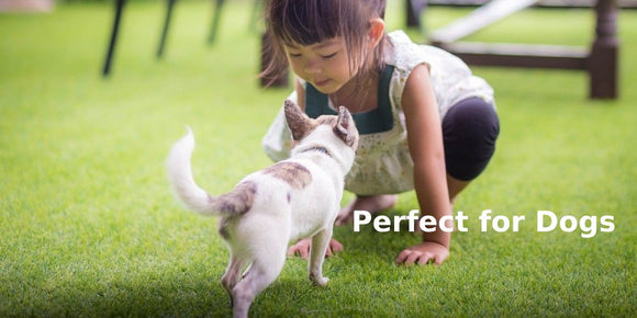 artificial grass is ideal for dogs because its soft and stays clean all year long