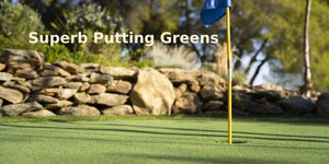 artificial grass putting greens with superb look and feel are great for practicing in your own backyard